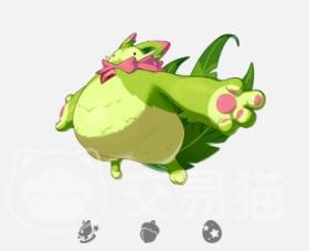 洛克王国世界魔力猫怎么样，洛克王国魔力猫解析与体验